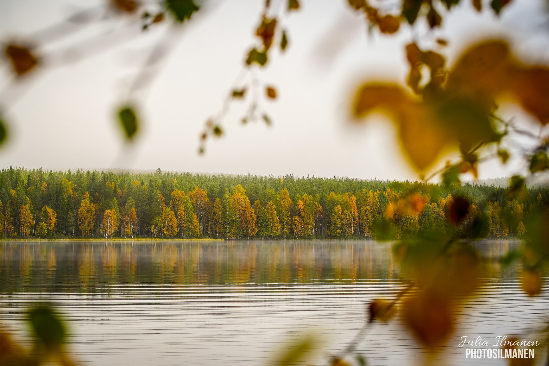 Syksyn vierailu
